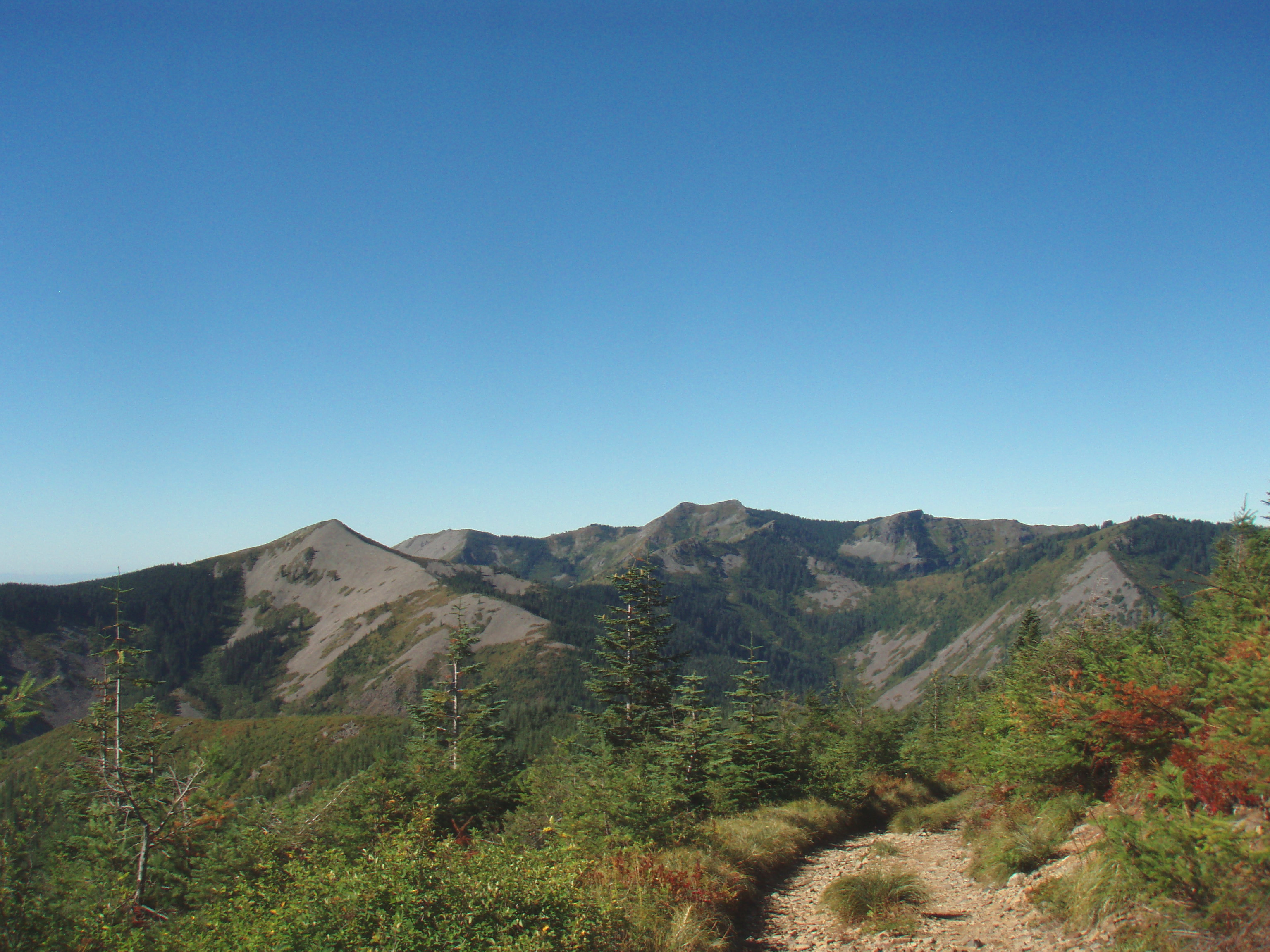 Little Baldy and Silver Star from the trail